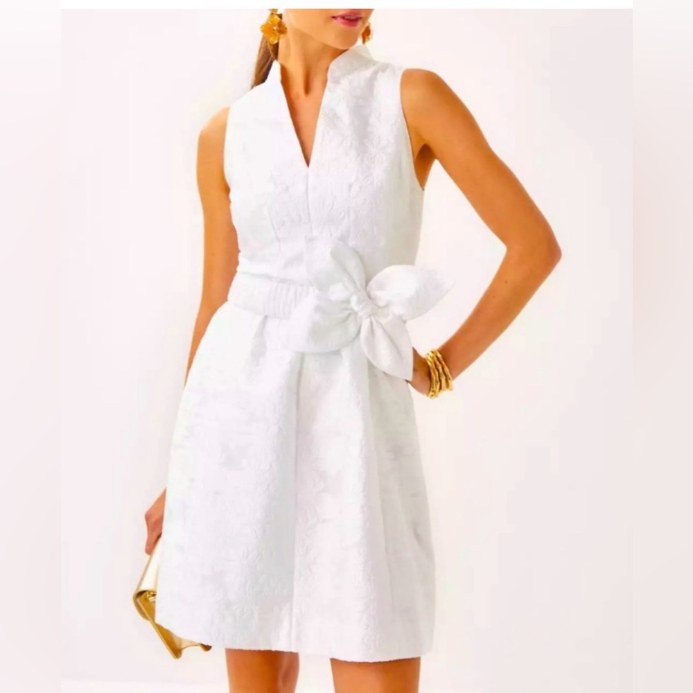 Lilly Pulitzer NWT Tazie Dress NWT size 10 - Picture 2 of 8